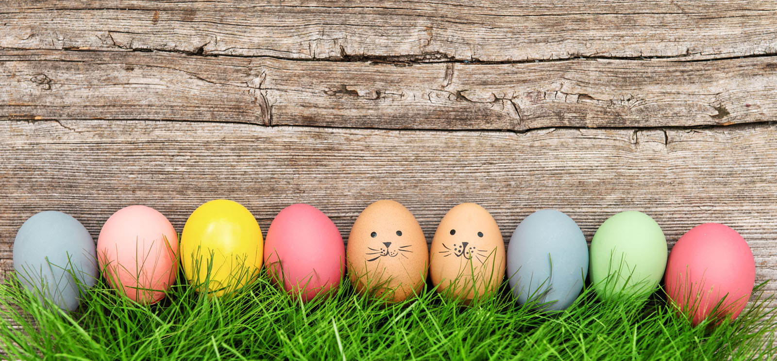 Easter Eggs in Grass with link to coloring contest information.