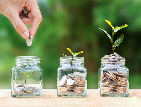 Coins and plants in jars.